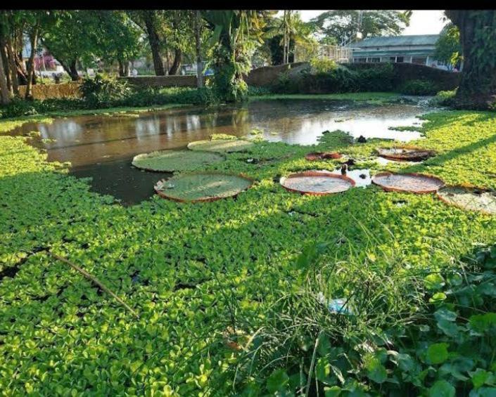 Hotel Alto Amazonas Λετίσια Εξωτερικό φωτογραφία